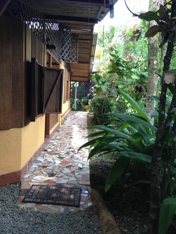 Вилла La Casa De Rolando Puerto Viejo de Talamanca Экстерьер фото