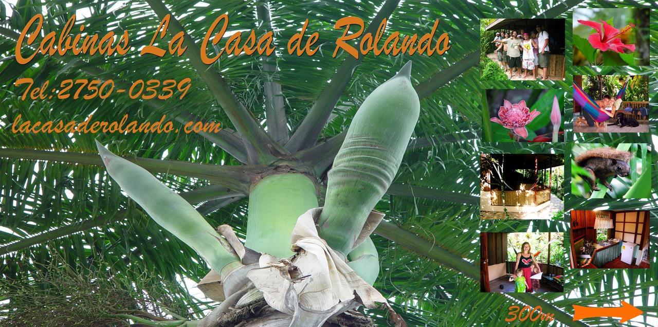 Вилла La Casa De Rolando Puerto Viejo de Talamanca Экстерьер фото